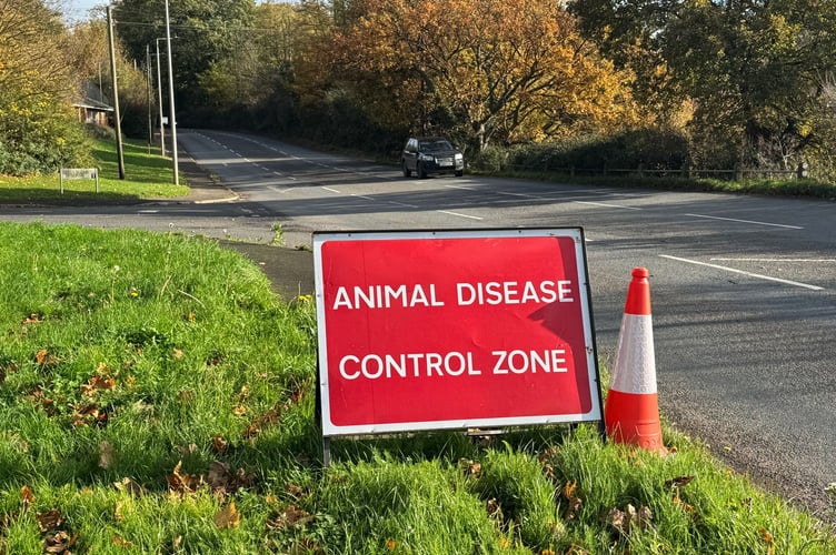 Animal Disease Control Zone signs have been in place around Crediton for the past five weeks due to bird flu restrictions. AQ 7348