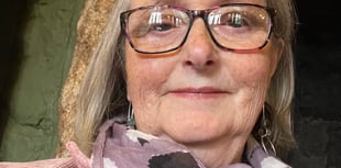 Wartime letters inspire Sampford Courtenay writer's novel