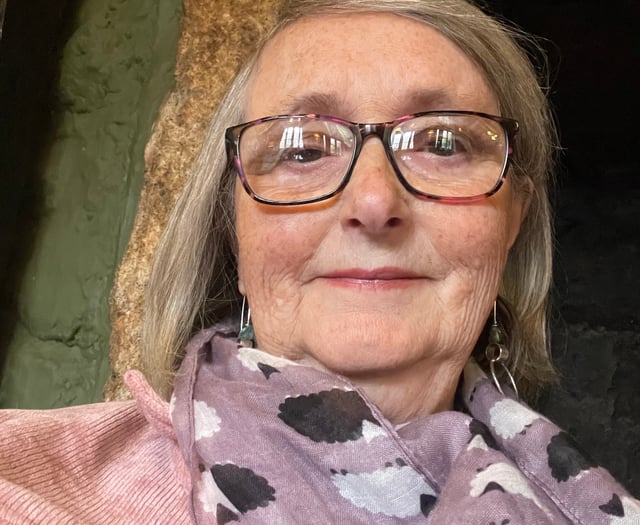 Wartime letters inspire Sampford Courtenay writer's novel