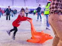 Icescape returns to Westpoint
