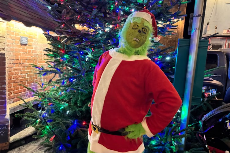 The Grinch in front of the lit tree in North Tawton Square. AQ 0203