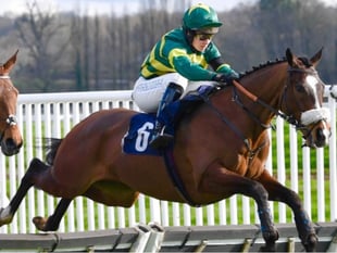 Jockey graduates in neuroscience at Exeter after injury