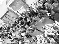 Council declares hunt meets unwelcome
