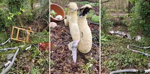 Art destroyed, swastika found at vandalised Crediton community space