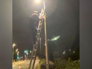 Flag removal on Exeter road could cost £6,000