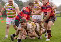 Crediton RFC 1st XV dominate Wellington to secure fifth consecutive win