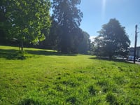 Public feedback wanted in grass cutting consultation
