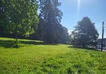 Public feedback wanted in grass cutting consultation