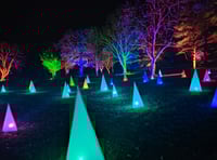 Famous RHS garden light show entrances