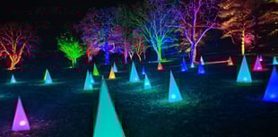 Famous RHS garden light show entrances