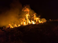 Warning follows series of deliberate gorse fires
