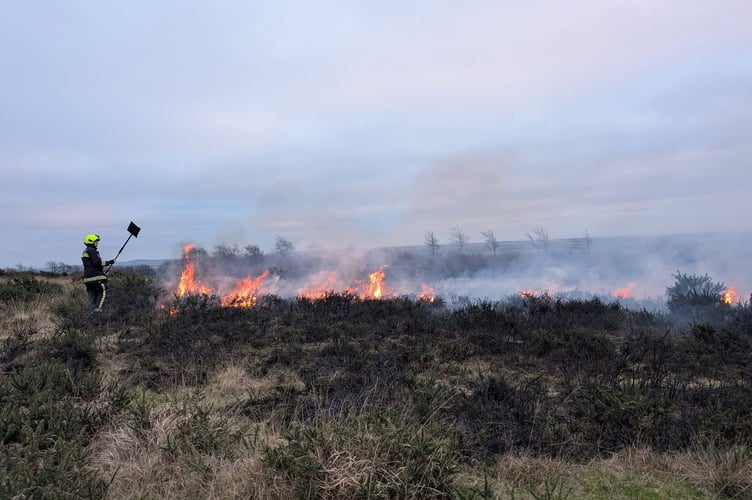 A firefighter with a beater at West Anstey on December 29.
