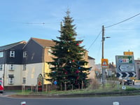 Letter: East Street Christmas Tree ‘heartfelt thanks’
