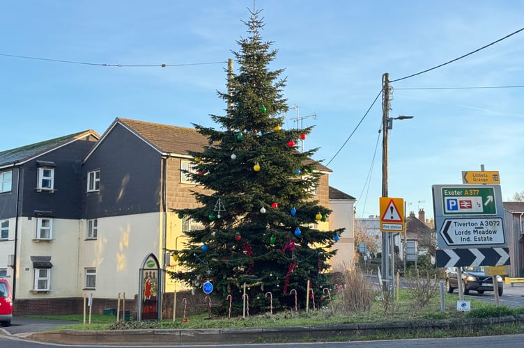The decorated East Street Christmas Tree.  AQ 1458
