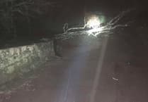 LIVE: Storm Goretti causes chaos on Devon's roads