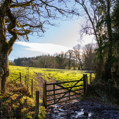 Residents invited to have say on plans for new woodland