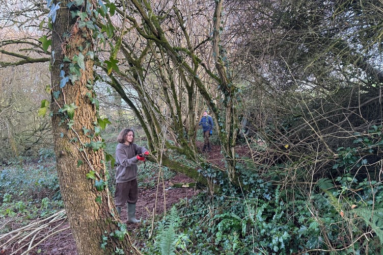 Volunteers hard at work at Creativity Acre.
