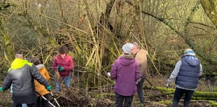 Coppicing and Creating Plans at Creativity Acre
