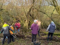 Coppicing and Creating Plans at Creativity Acre
