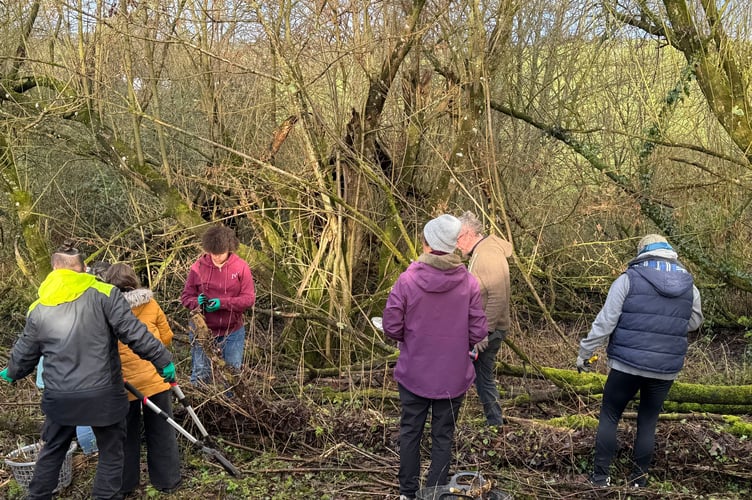 Volunteers at work in the Willow Grove at Creativity Acre