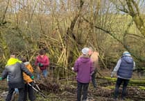 Coppicing and Creating Plans at Creativity Acre