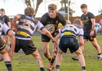 Crediton RFC Colts XV edged out in Torquay thriller