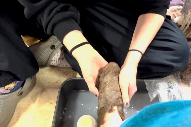 Making a wool felt slipper at a previous Wool Felt Slipper Dance Party.