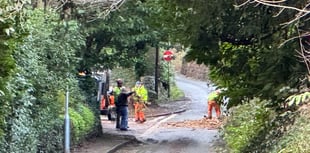 Landslip and trees down as a result of Storm Ingrid
