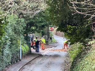 Landslip and trees down as a result of Storm Ingrid
