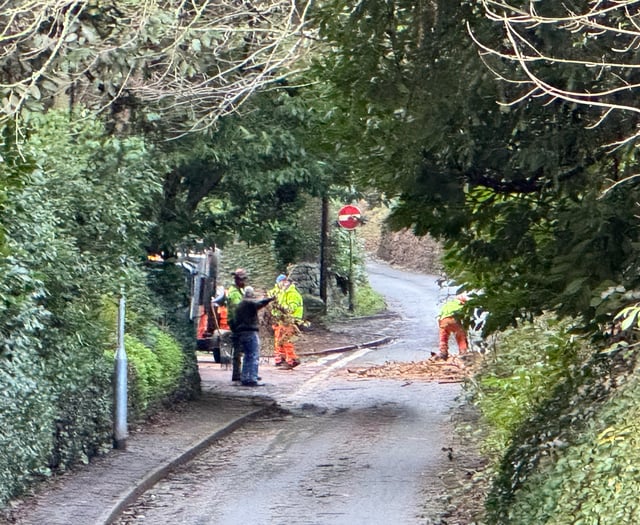 Landslip and trees down as a result of Storm Ingrid
