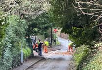 Landslip and trees down as a result of Storm Ingrid
