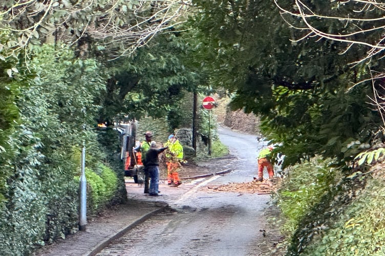 Devon County Council engineers have cleared the land slip in Deep Lane, Crediton. AQ 2976