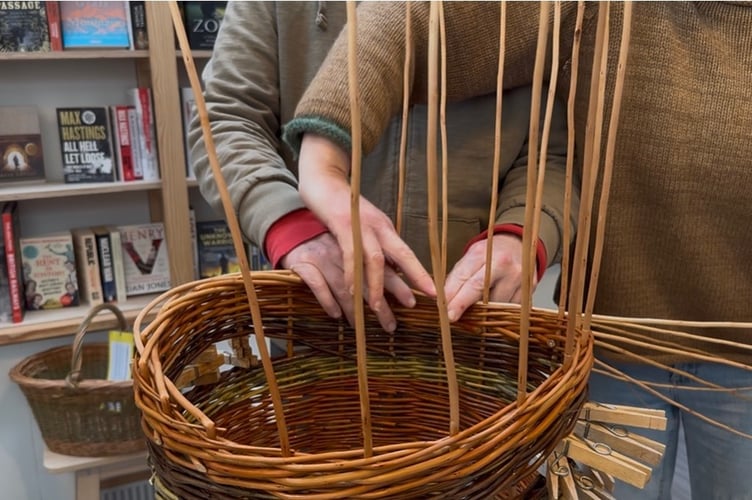 Pushing down the willow to construct the basket.
