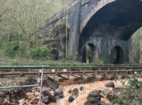 Rail group calls for better replacement services
