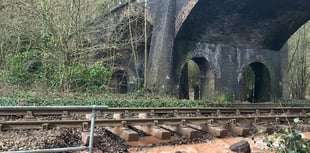 Rail group calls for better replacement services
