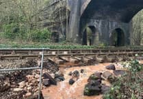 Rail group calls for better replacement services