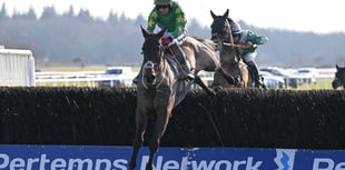 Don't miss Super Sunday at Exeter Racecourse