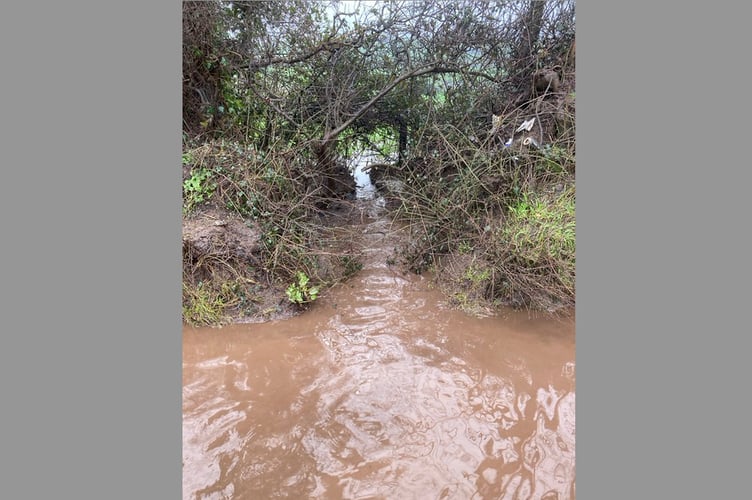 The ditch beside the floodwater on Higher Road, Crediton, which needs clearing.
