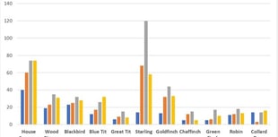 Bird count numbers down due to storms 