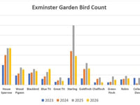 Bird count numbers down due to storms 