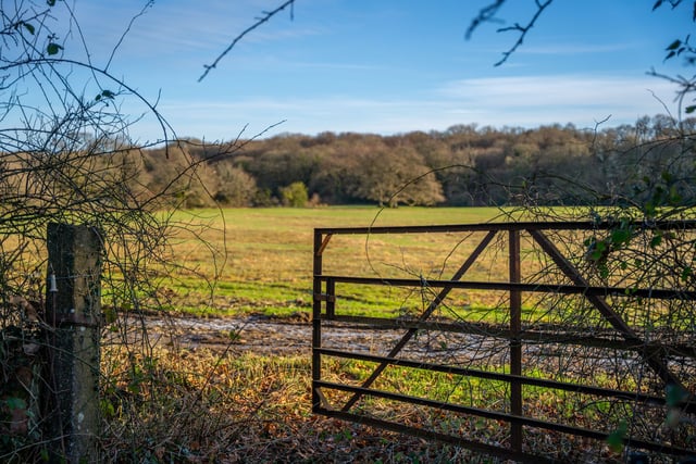 Public meeting on new woodland near Okehampton