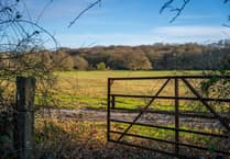 Public meeting on new woodland near Okehampton