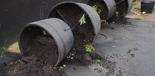 Town council condemns floral tower damage
