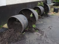 Town council condemns floral tower damage

