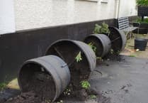 Town council condemns floral tower damage