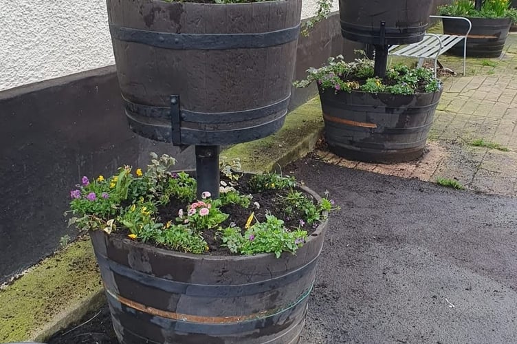 How the flower towers look now after being replanted.