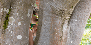 New family mystery Easter trail launches at RHS Garden Rosemoor