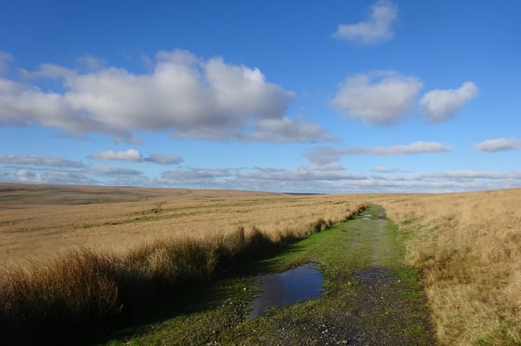 A bright winter’s day on the Red Lake Tramway, Dartmoor.
