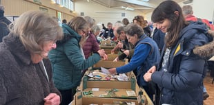 Seed share was busy throughout
