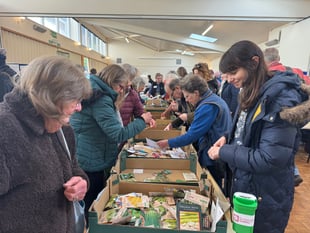 Seed share was busy throughout
